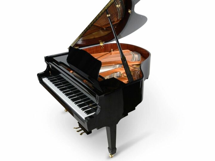 Danemann DG 160 Grand