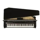 Dexibell VIVOH10MGBKP VIVO H10MG Digital Mini Grand Piano (Polished Black)