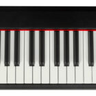 Dexibell VIVOS2 68-Key Digital Stage Piano