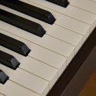 Casio APS200BK AP-S200 Console Digital Piano (Black)