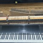 Interior plate, strings, and action of Baldwin 243 SE studio upright piano