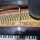Steinway A SE soundboard and strings detail